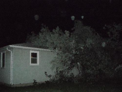 Tree on my house - Half of the tree that fell on my house.
