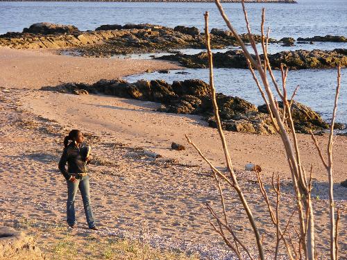 Post Card - This is a photo taken on a fall day at a beach in East Haven, Ct about 10 minutes from my house.