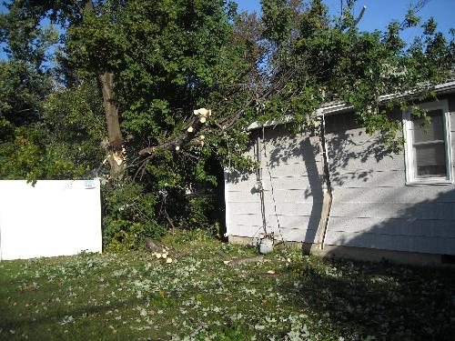 Part of the tree cut away from the house - When I got home this morning, this much of the half of the tree that fell had been cut away already.