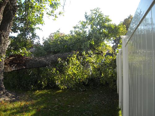 Tree fell between fence and house - This shows where the tree fell between the neighbor's fence and the house. It landed on top of the clothesline pole.