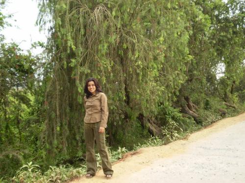 beauty in the woods... - waiting to get into embrace....