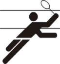 badminton - badminton badminton