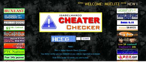 Cheat Checker - Is it Effective?