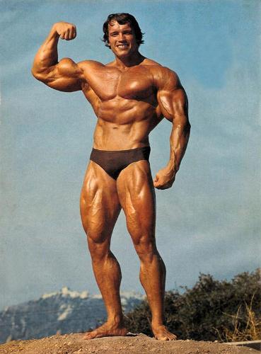 Arnold Schwarzenegger - Pic of the greatest bodybuilder ever!