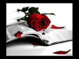 Food for thought... - A rose and wisdom, what a pair!