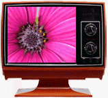 Animated TV - A picture of an Animated TV