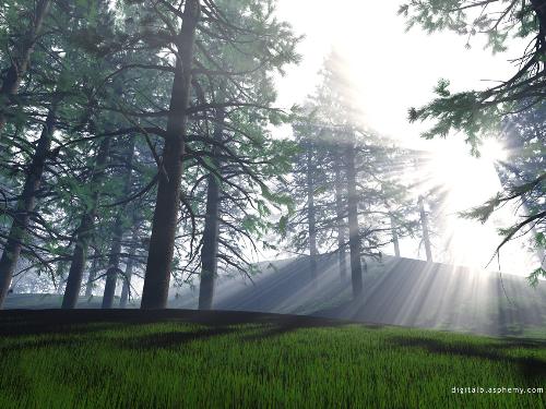 Dreaming about the Beauty - Admire the beauty and you will find peace and happiness!