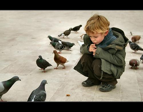 The greatest prayer is patience. - We could never learn to be brave and patient if there were only joy in the world.