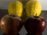 fruits - fruits are good for health