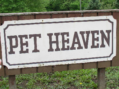 Pet Cemetery... - Pet Cemetery...
