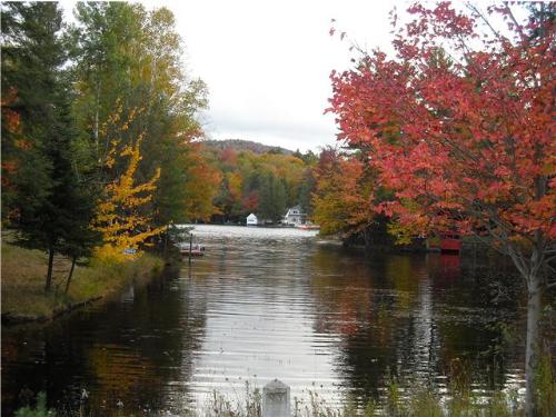Beautiful scenery - Welcome fall!