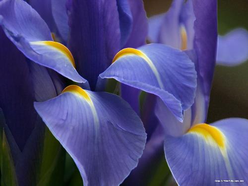 nature - A beautiful pic of nature