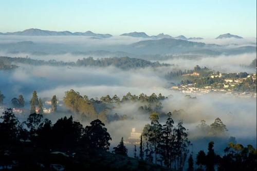 Ooty hills station  - This is most of people in India and from foreign visited. this is one of famous holiday destination in India and in tamilnadu.