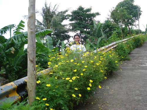 lignon hills - view of the lignon hills