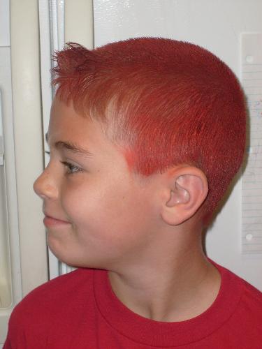 Dylans' Crazy Red Hair - My boys had a crazy hair day at their school. Since they both have really short hair, the only thing I could think of was to buy a can of temporary hair color for the both of the. Here are the results.