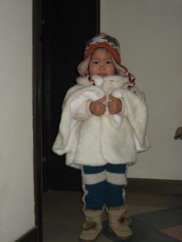 little angell - fly