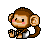 Monkey - Very cute monkey!