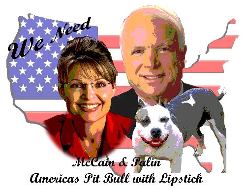 McCain/Palin Tee Shirt - Order your own McCain/Palin Tee Shirt By going to my blog. Listed under my profile
