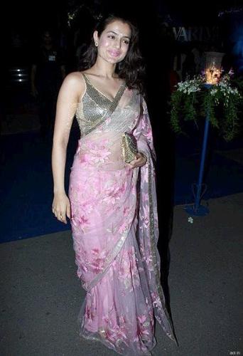 Amisha Patel - Desi Blonde