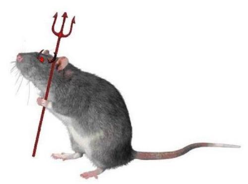 Mouse Devil - Uncontrollable at times.Isn't it?