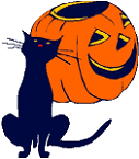 black cat and a jack o lattern - black cat with a jacko lattern