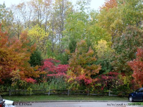 Mullti Colored - A beautiful view of Minnesotan fall colors.