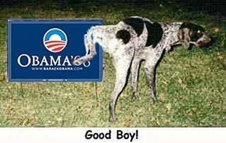 dog sense - Dog releving himself on Obama sign