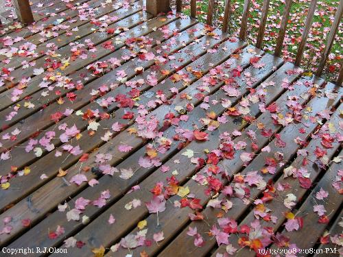 Patio Deck - More leaves to rake soon