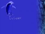 4444444444 - 444444444444