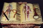 Human cake - A cake shaped into an open book with pictures of human's inside. I think this cake is for medical students.