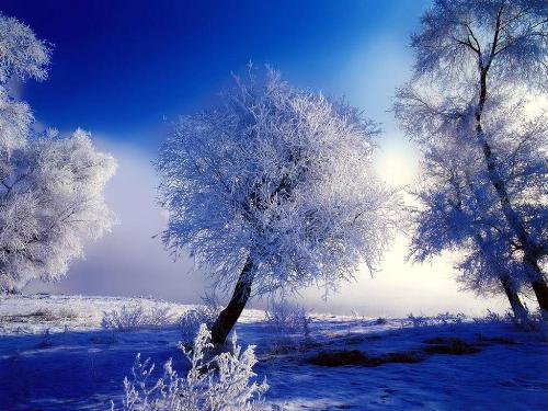 Time will pass by.. - We all will be old..winters will come and go..silently craving the wrinkles as a proof of our age..