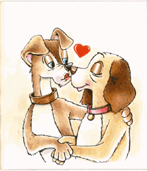 Kiss - Dogs - Kuties are in love