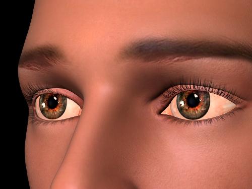 Eyes - A close up of V4 male's eyes.