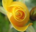 Spiritual Thinking - God whoembodies infinite love should require a seeker to suffer