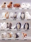 dogs  - dog pets