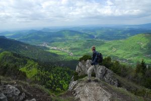 A beautiful landscape! - A nice beautiful landscape! Just have a look! You will love it.