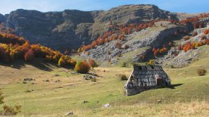 A wood house! - A wood house situated in the lap of mountains!