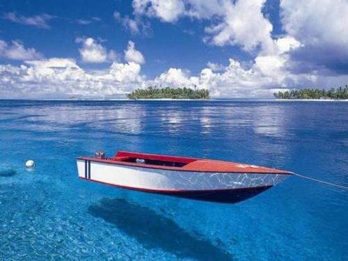 transparent water -  Transparent sea water in Maldives sea¦ you think the boat is floating on air.
