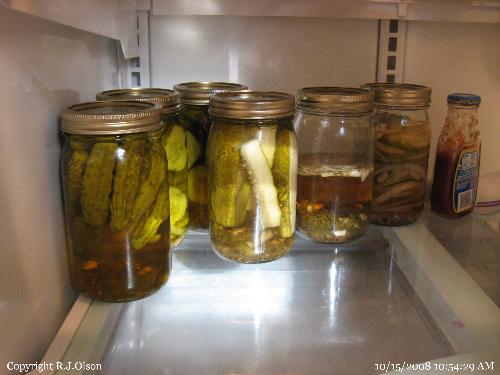 Canned Pickles - Some of the quarts of pickles I made this year.