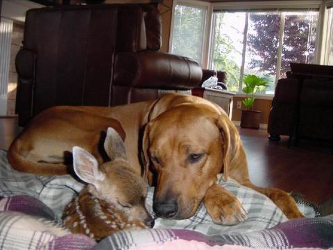 Buddies. - For all we know, Walmart and Target could somehow be buddies.