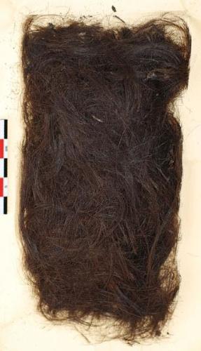 hair - some hair (i don`t think is pubic... too much) :)))
