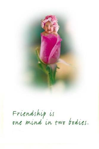 Friendship - it is one mind and two Bodies