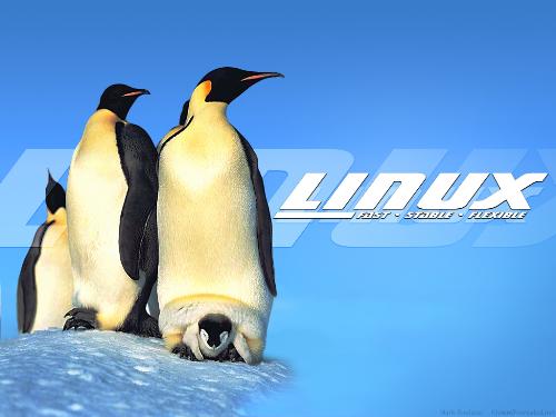 Penguins - Linux Wallpaper