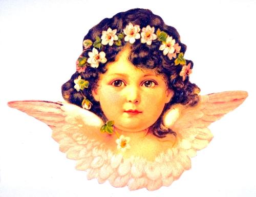 Angel - Cherubim