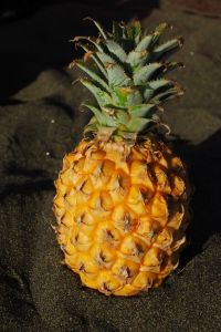 Pineapple - pineapple- one of my favourite fruits.