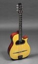 guitar - This is a musical string instrument called guitar.  It may be classic, electric or acustic.  A guitar may be amplified by a microfone if classic.  An electric guitar is amplified electrically.