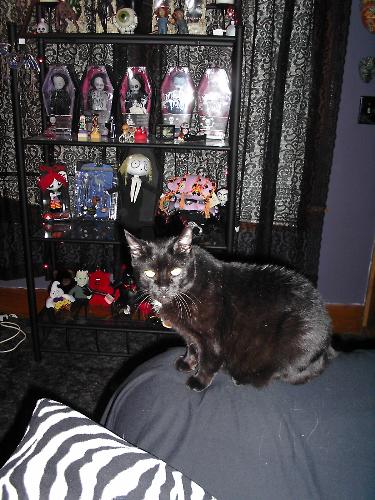 She was  - 17 yrs old the year she passed.