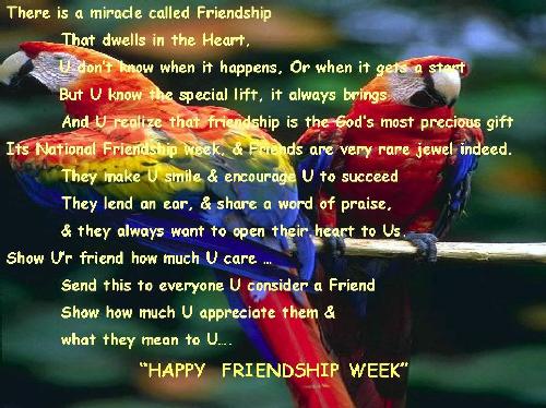 Miracle of Friendship - its really fantastic saying about friendship