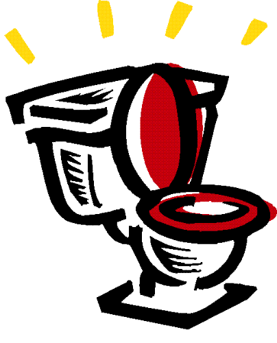toilet - toilet training issues