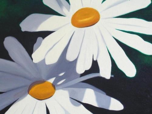 Daisy - Oil painting of Daisies.